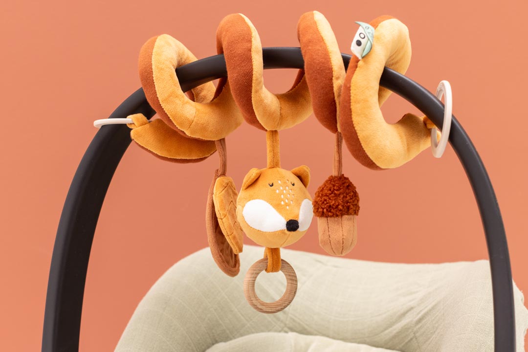Activity-spirale - Mr. Fox